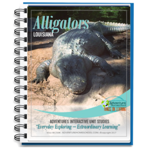 Alligator Unit Study Product Pic