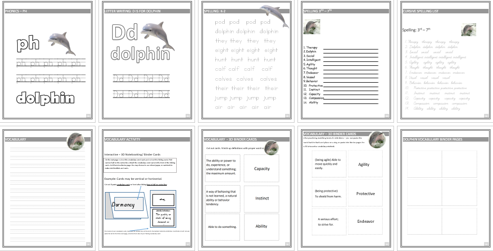 Edventure Kid Unit Study Bald Eagle