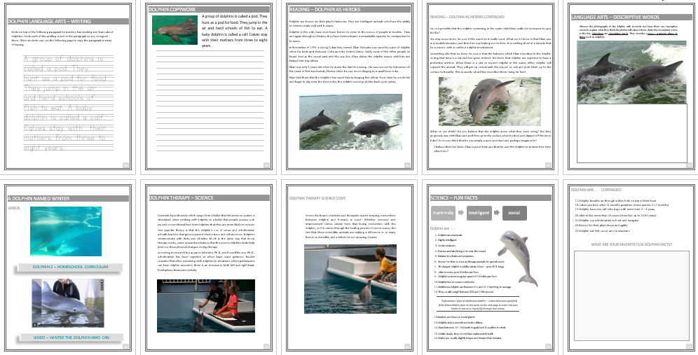 Dolphin Unit Study