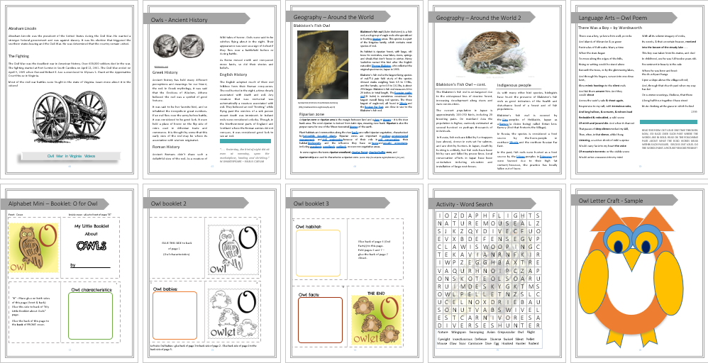 Owl Unit Study