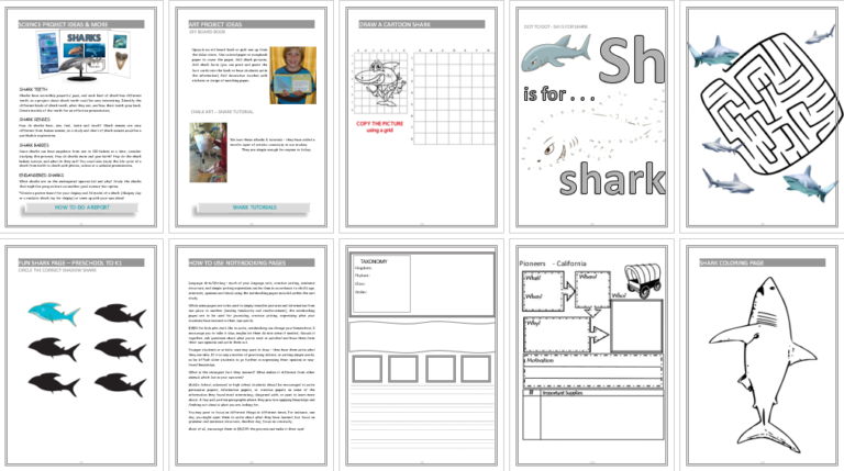 Sharks Unit Study