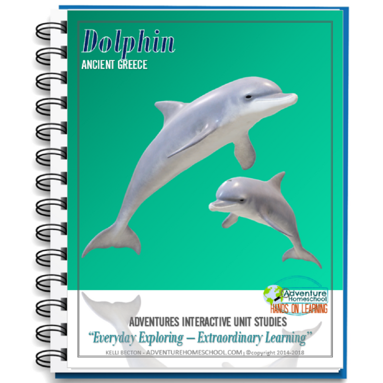 Dolphin Unit Study