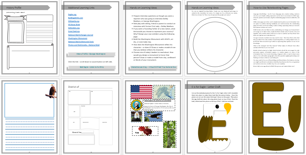 Edventure Kid Unit Study Bald Eagle