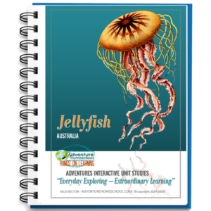 Jellyfish Unit Study