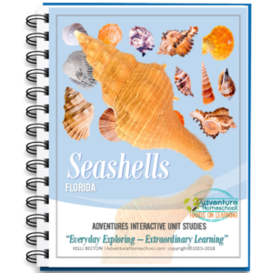 Seashells Unit Study