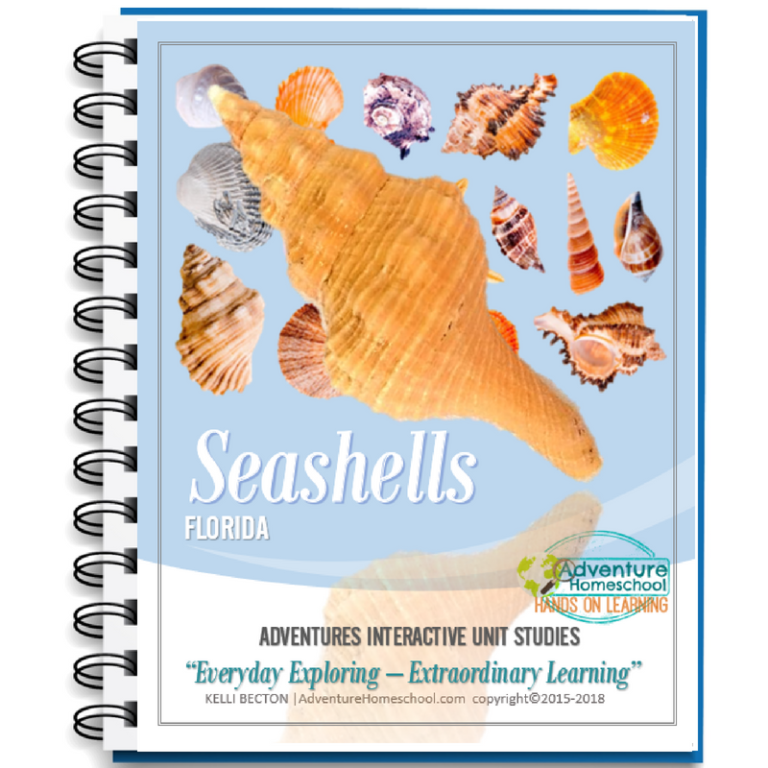Seashells Unit Study