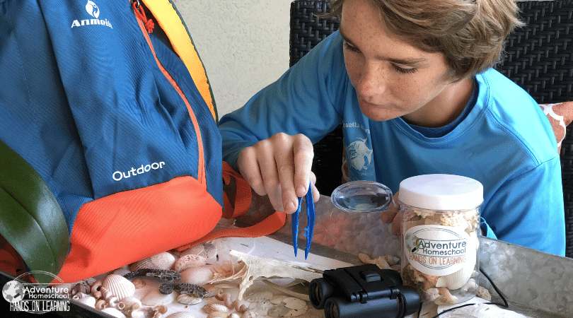 Nature Homeschool