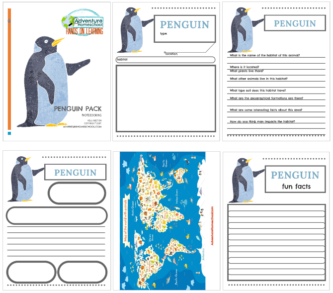 Penguin Pack